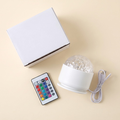 What's in the box: projector with USB cable, remote and box